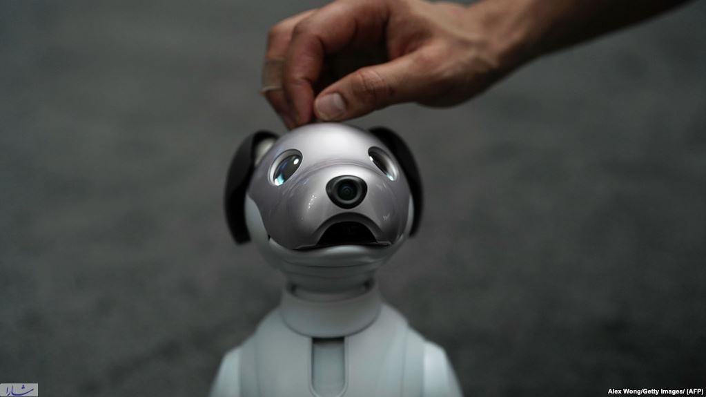 آیبو؛ این سگ-ربات نازنین